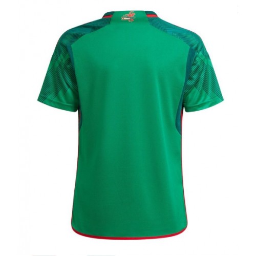 Mexico Replica Home Shirt World Cup 2022 Short Sleeve